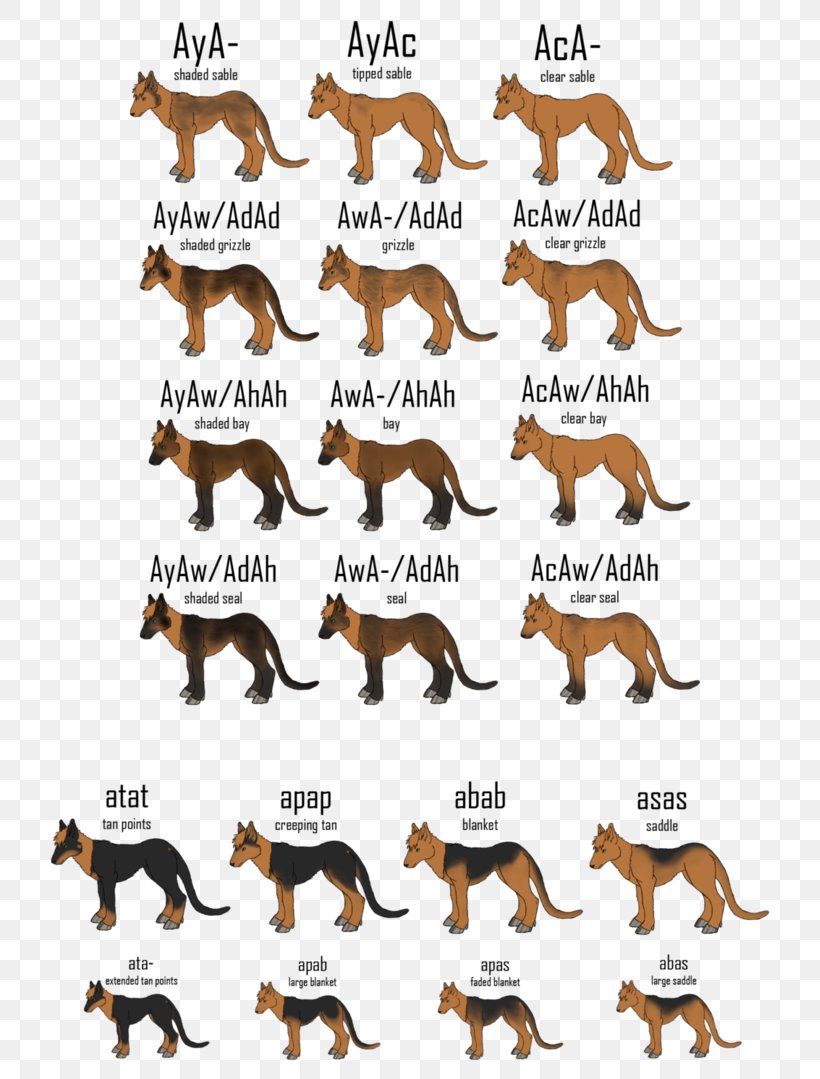 Horse American Pit Bull Terrier Agouti Cat, PNG, 741x1079px, Horse, Agouti, American Pit Bull Terrier, Animal Figure, Black Download Free