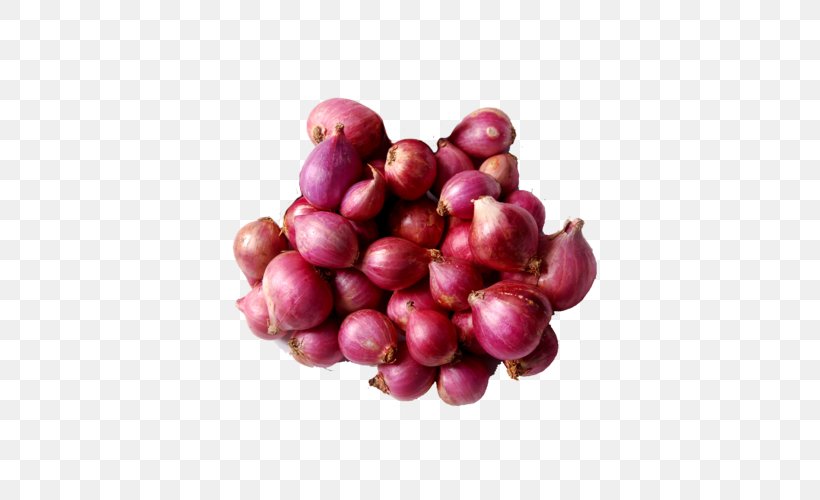 Sambar Shallot White Onion Organic Food Potato, PNG, 500x500px, Sambar, Allium, Beet, Cranberry, Eggplant Download Free