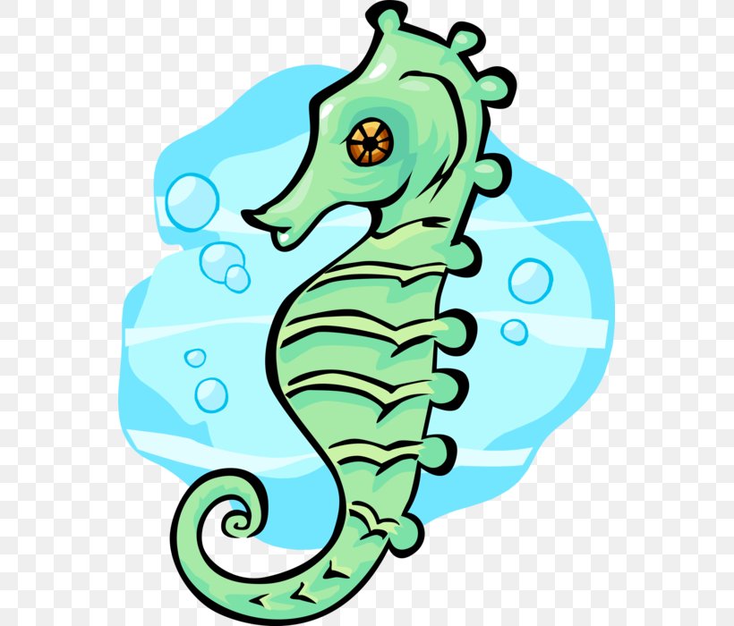 Seahorse Clip Art Vector Graphics Illustration Image, PNG, 555x700px, Seahorse, Aqua, Digital Image, Fish, Green Download Free