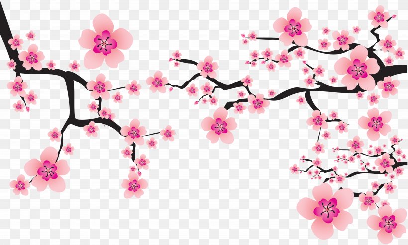 Cherry Blossom Vector Graphics Cherries Image, PNG, 7165x4313px, Cherry Blossom, Blossom, Branch, Cherries, Flora Download Free