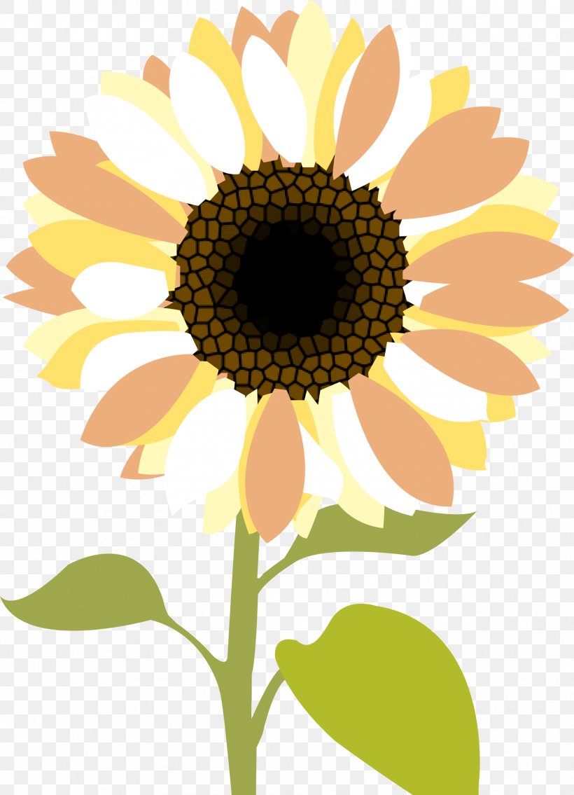 Common Sunflower Desktop Wallpaper Clip Art, PNG, 1767x2446px, Common Sunflower, Asterales, Blog, Daisy, Daisy Family Download Free
