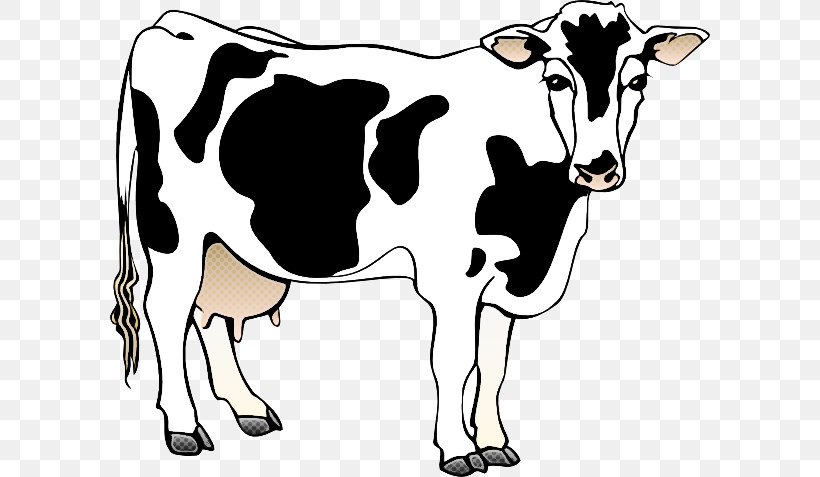 Murrah Buffalo Holstein Friesian Cattle Dairy Cattle Sound Effect Heifer, PNG, 600x477px, Murrah Buffalo, Dairy, Dairy Cattle, Dairy Farming, Farm Download Free