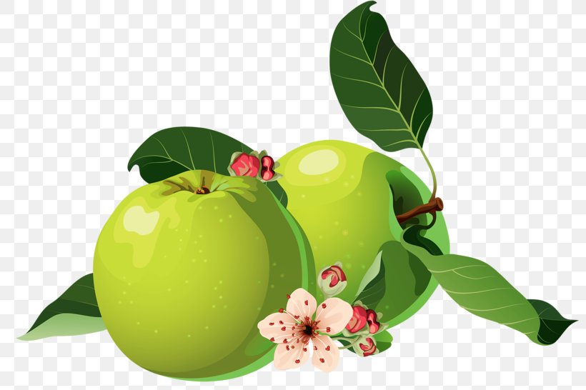 Apple Clip Art, PNG, 800x546px, Apple, Apples, Citrus, Food, Fruit Download Free