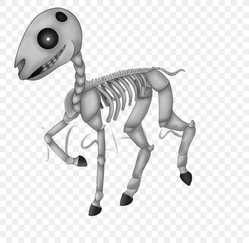 Horse Skeleton Joint, PNG, 800x800px, Horse, Black And White, Horse Like Mammal, Joint, Mammal Download Free