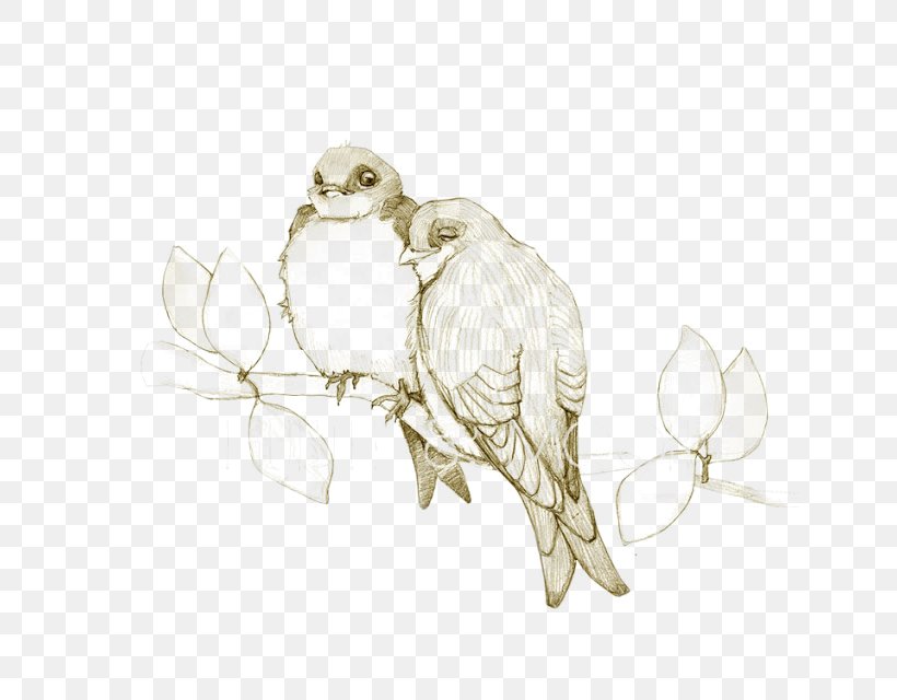 Owl Lovebird Drawing Sketch, PNG, 640x640px, Owl, Art, Artwork, Beak, Bird Download Free