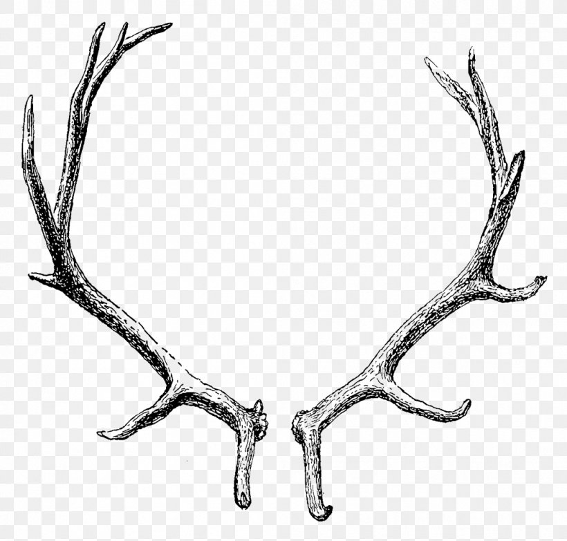 Reindeer Elk Moose Antler, PNG, 1042x995px, Deer, Antelope, Antler, Black And White, Bone Download Free