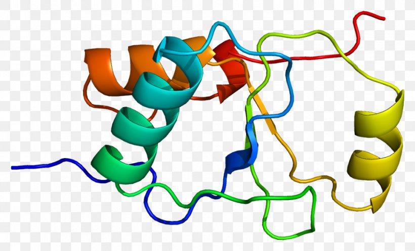 XRCC1 XRCC3 DNA Repair Protein, PNG, 965x586px, Dna Repair, Area, Artwork, Cell, Dna Download Free