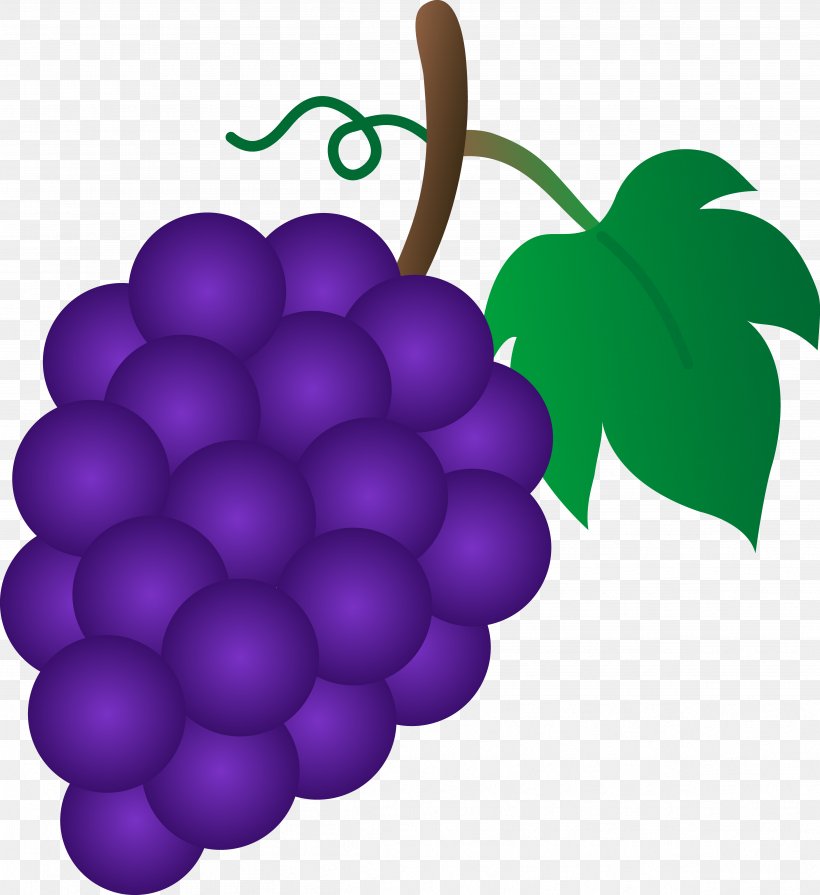 Common Grape Vine Sultana Clip Art, PNG, 4801x5243px, Common Grape Vine, Drawing, Flowering Plant, Food, Fruit Download Free