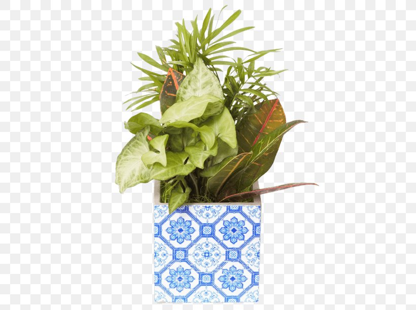 Flowerpot Leaf Floral Design Houseplant, PNG, 500x611px, Flowerpot, Floral Design, Grass, Houseplant, Leaf Download Free