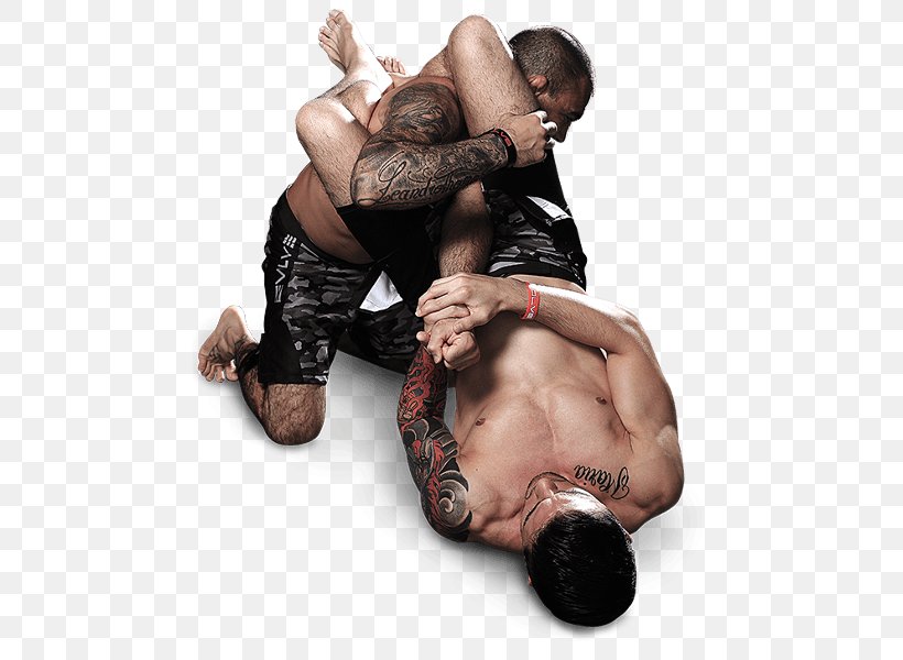 Mixed Martial Arts Combat Sport Grappling Submission Wrestling, PNG, 600x600px, Watercolor, Cartoon, Flower, Frame, Heart Download Free