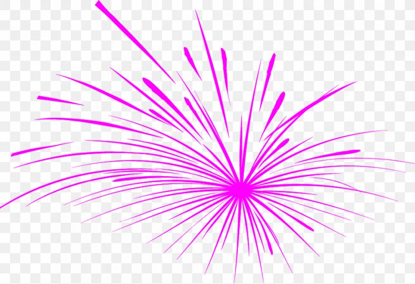 Pink Adobe Fireworks, PNG, 954x653px, Pink, Adobe Fireworks, Drawing, Fireworks, Magenta Download Free