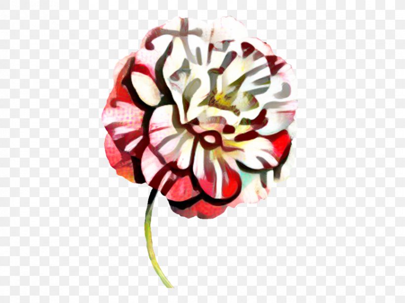 Rose Family Cut Flowers Petal, PNG, 866x650px, Rose Family, Carnation, Chrysanths, Clothing Accessories, Cut Flowers Download Free