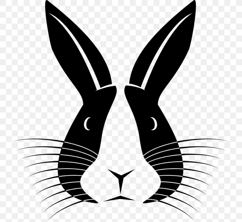 Hare Domestic Rabbit Lionhead Rabbit Vector Graphics, PNG, 741x750px, Hare, Art, Blackandwhite, Cartoon, Domestic Rabbit Download Free