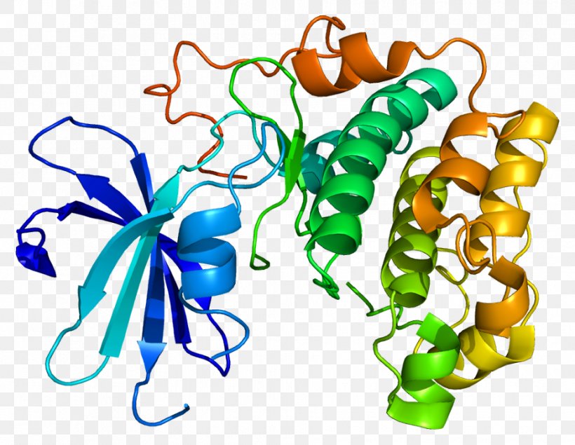 Protein Kinase B AKT2 Serine/threonine-specific Protein Kinase AKT3, PNG, 930x721px, Watercolor, Cartoon, Flower, Frame, Heart Download Free