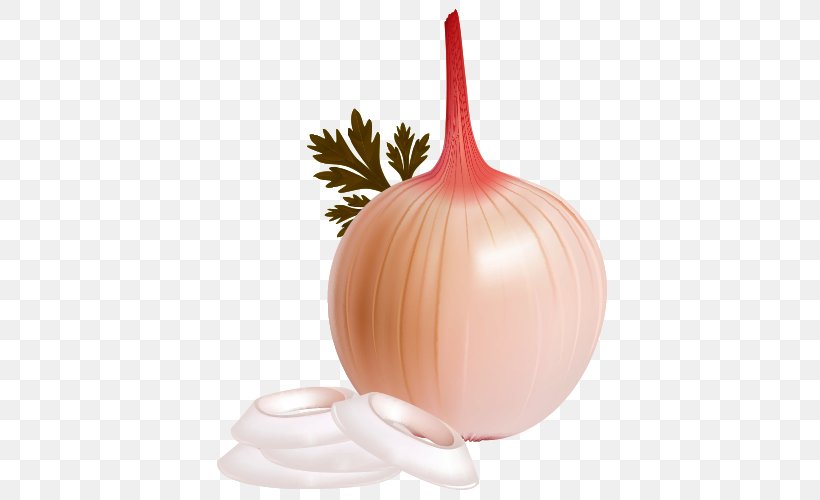 Shallot, PNG, 500x500px, Shallot, Artworks, Cartoon, Food, Garlic Download Free