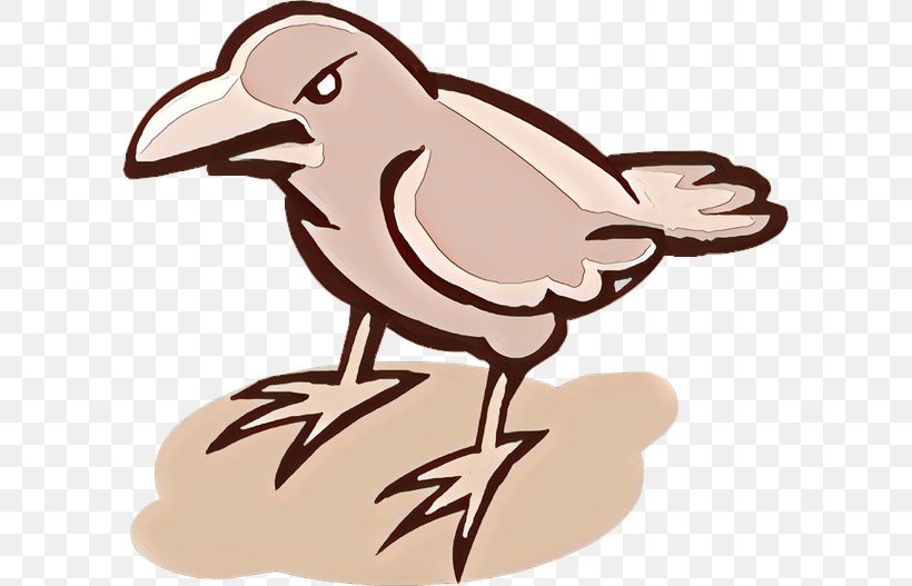 Bird Cartoon, PNG, 599x527px, Beak, Bird, Cartoon Download Free