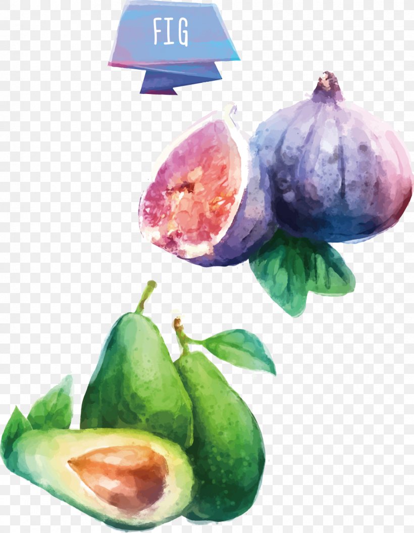 Juice Fruit Avocado Watercolor Painting, PNG, 1119x1440px, Juice, Avocado, Color, Common Fig, Diet Food Download Free