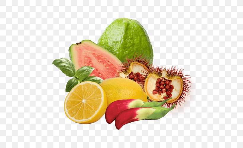 Natural Foods Orgenetics, Inc. Vitamin Kiwifruit, PNG, 500x500px, Natural Foods, Accessory Fruit, B Vitamins, Cobalamin, Diet Download Free