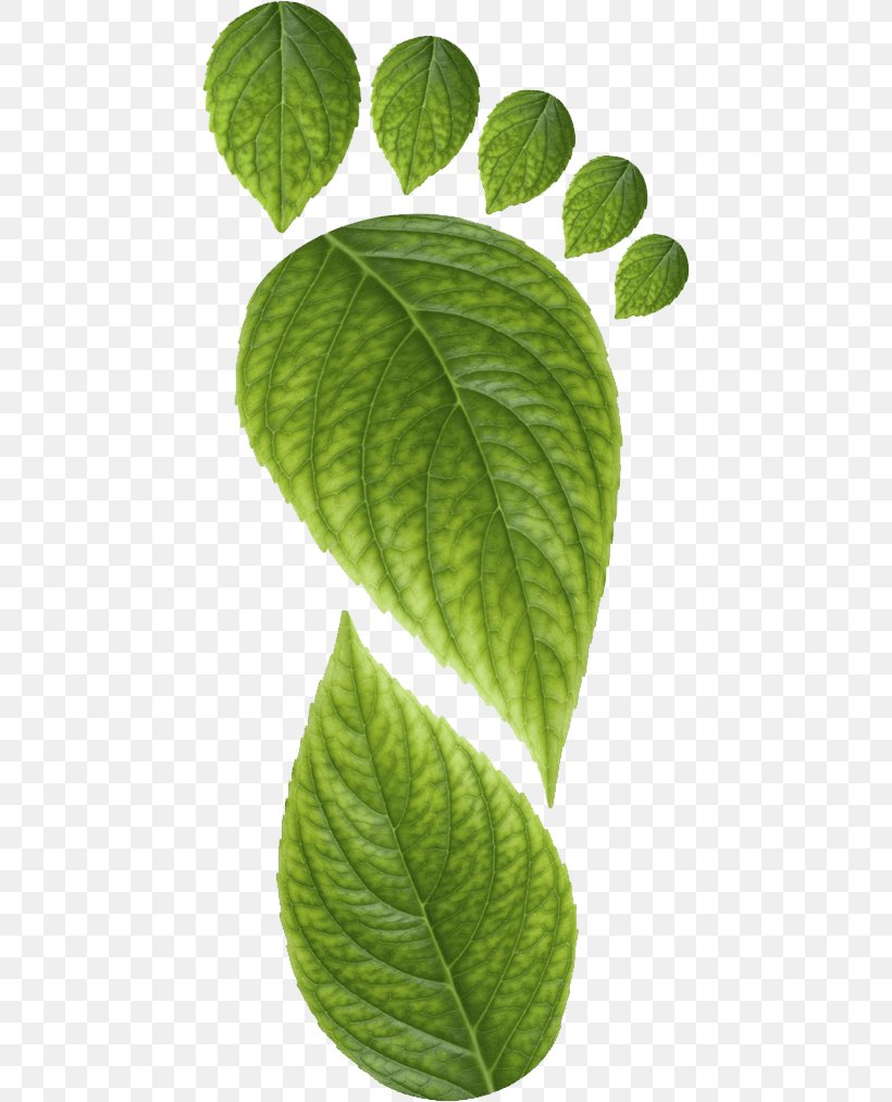 Ecological Footprint Carbon Footprint Earth Overshoot Day, PNG, 448x1013px, Ecological Footprint, Carbon Dioxide, Carbon Footprint, Earth, Earth Overshoot Day Download Free