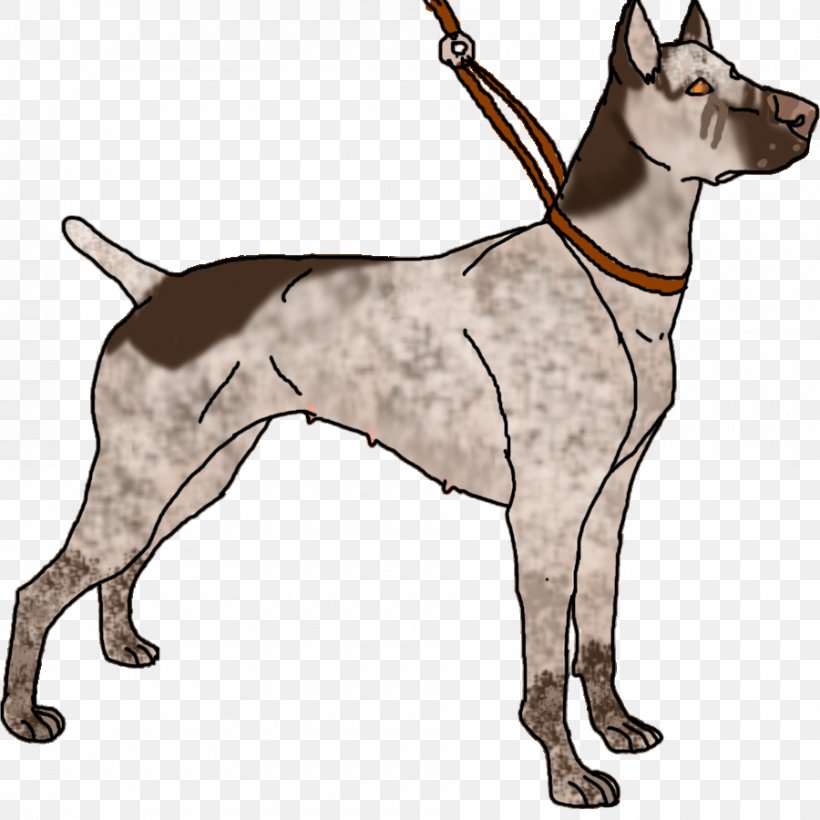 Great Dane Dog Breed Leash Non-sporting Group Clip Art, PNG, 900x900px, Great Dane, Breed, Carnivoran, Dog, Dog Breed Download Free