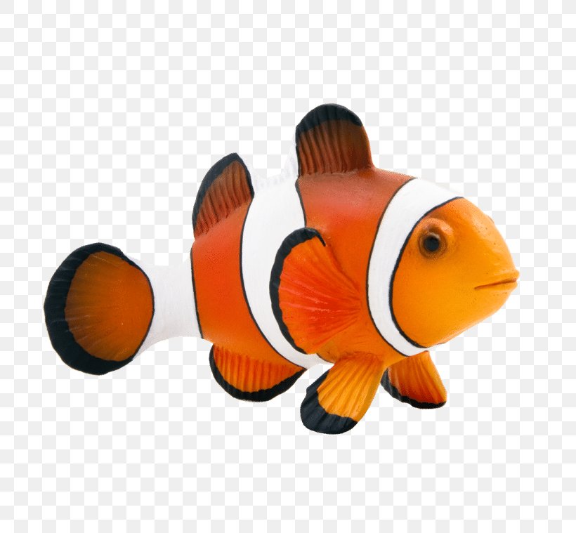 Maroon Clownfish Animal Mojo Fun 387090 Clown Fish, PNG, 759x759px, Clownfish, Anemone Fish, Animal, Aquarium Decor, Aurora World Download Free