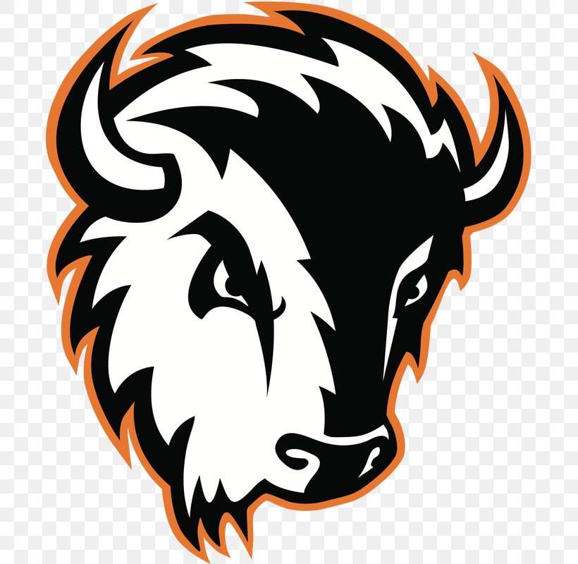 Milligan College, Tennessee Milligan College Buffaloes Men's Basketball Milligan College Buffaloes Women's Basketball, PNG, 690x800px, Milligan College, Artwork, Basketball, Christian, College Download Free