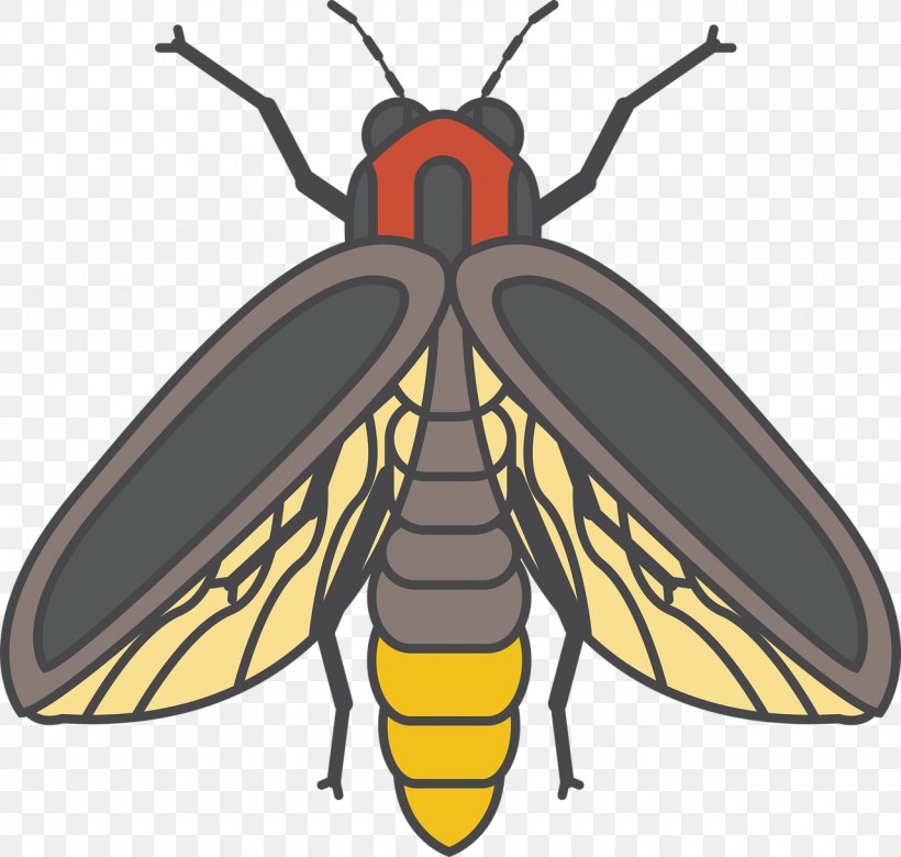 Beetle Firefly, PNG, 1280x1218px, Bee, Arthropod, Beetle, Drawing, Firefly Download Free