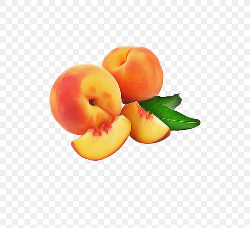 Orange, PNG, 500x750px, Fruit, Apricot, Food, Natural Foods, Nectarine Download Free