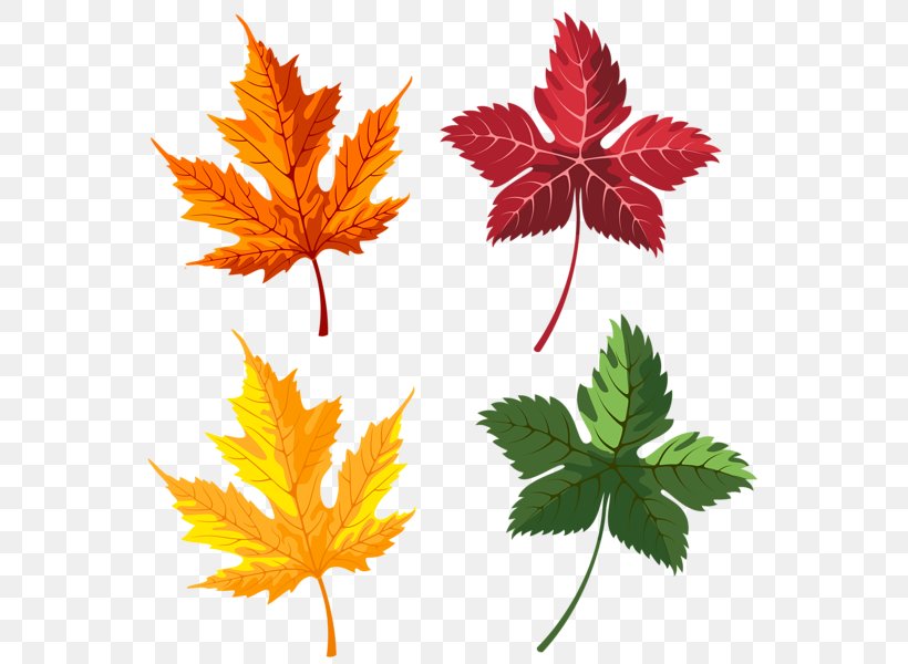 Clip Art Autumn Image Vector Graphics, PNG, 568x600px, Autumn, Animation, Computer Graphics, Drawing, Flowering Plant Download Free