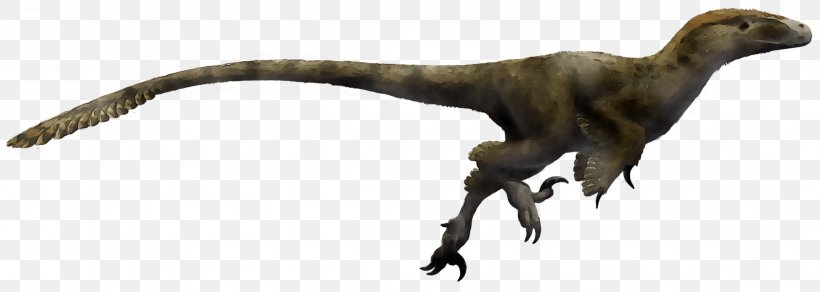 Utahraptor Velociraptor Dromaeosaurus Tyrannosaurus Deinonychus, PNG, 2305x822px, Utahraptor, Animal Figure, Carcharodontosaurus, Claw, Deinonychus Download Free