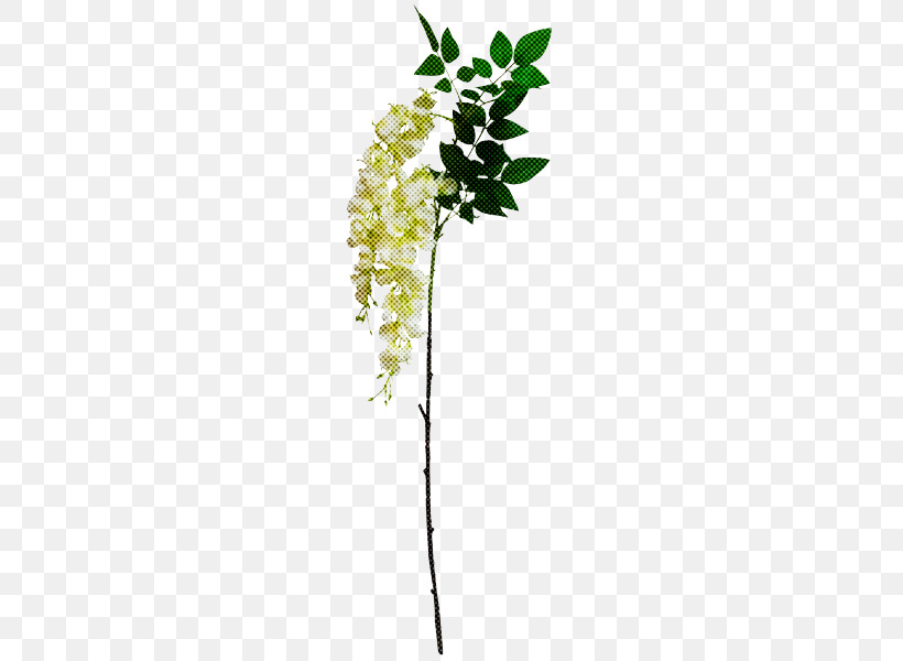 Flower Plant Leaf Plant Stem Twig, PNG, 800x600px, Flower, Cut Flowers, Leaf, Plant, Plant Stem Download Free