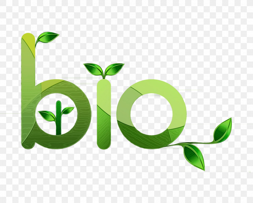 Logo Leaf Plant Stem Font Line, PNG, 1788x1440px, Watercolor, Biology, Leaf, Line, Logo Download Free