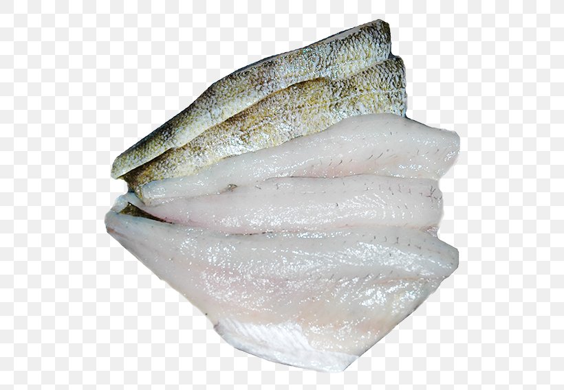 Northern Pike Yellow Perch Rainbow Trout Oily Fish Walleye, PNG, 575x568px, Northern Pike, Animal Fat, Animal Source Foods, Brook Trout, Dried And Salted Cod Download Free