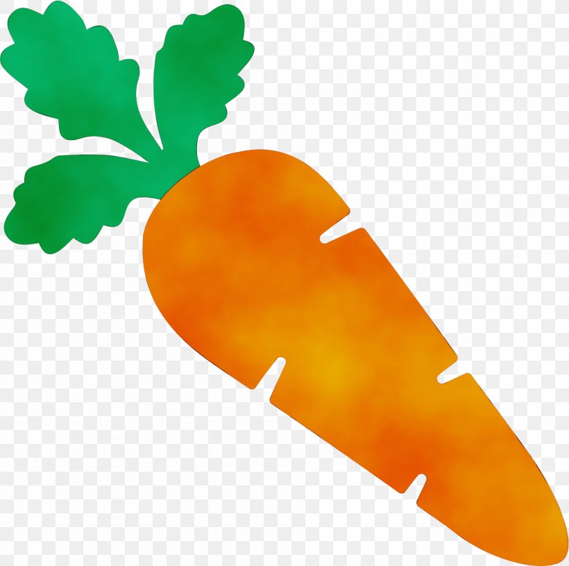 Watercolor Leaf, PNG, 1897x1890px, Watercolor, Carrot, Daikon, Food, Leaf Download Free