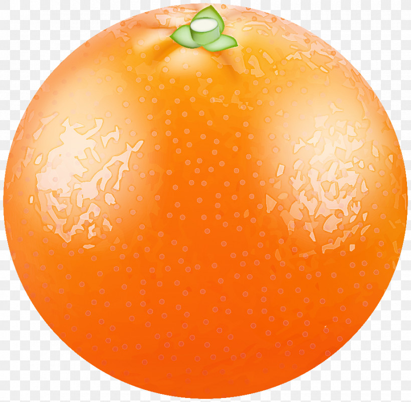 Orange, PNG, 920x901px, Grapefruit, Apple, Natural Food, Orange, Tangelo Download Free