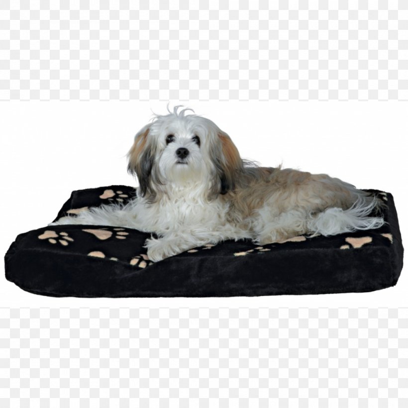 Dog Breed Cushion Chair Couch, PNG, 1060x1060px, Dog, Bed, Breed, Carpet, Chair Download Free