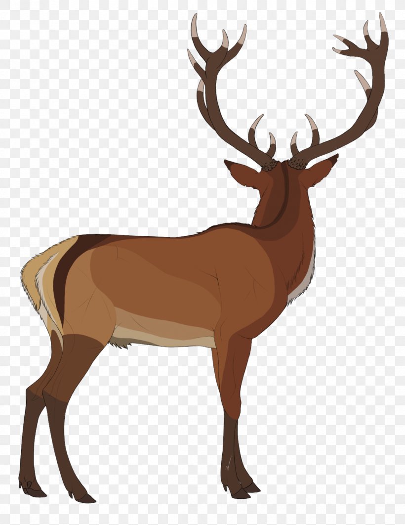 Elk White-tailed Deer Reindeer Antler, PNG, 1146x1485px, Elk, Animal, Antler, Deer, Horn Download Free