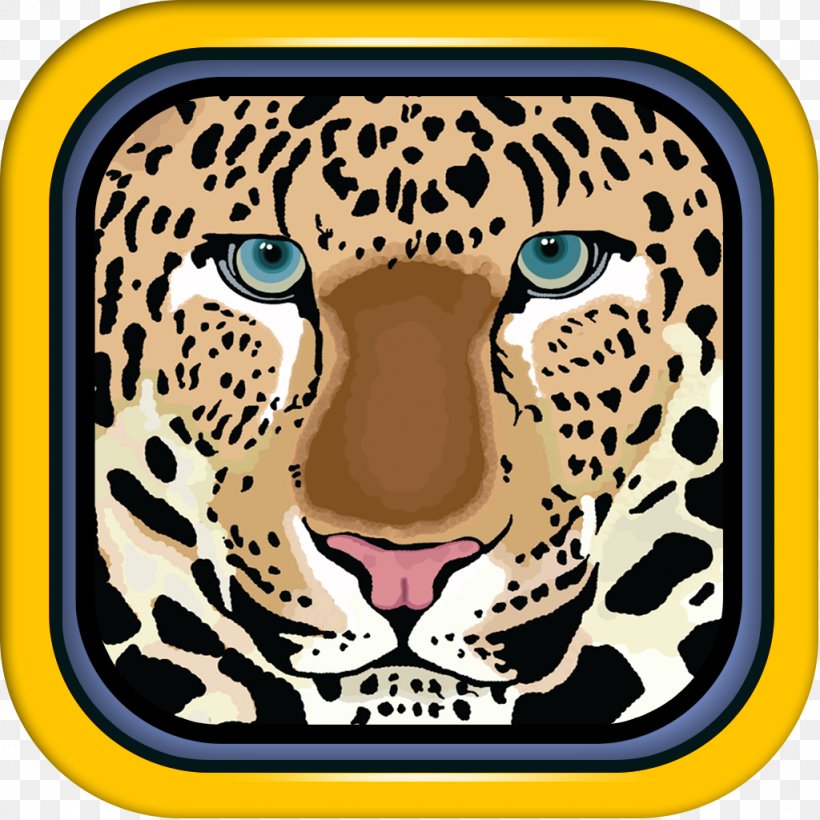 Felidae Leopard Jaguar Tiger Cheetah, PNG, 1024x1024px, Felidae, Animal, Big Cat, Big Cats, Carnivora Download Free