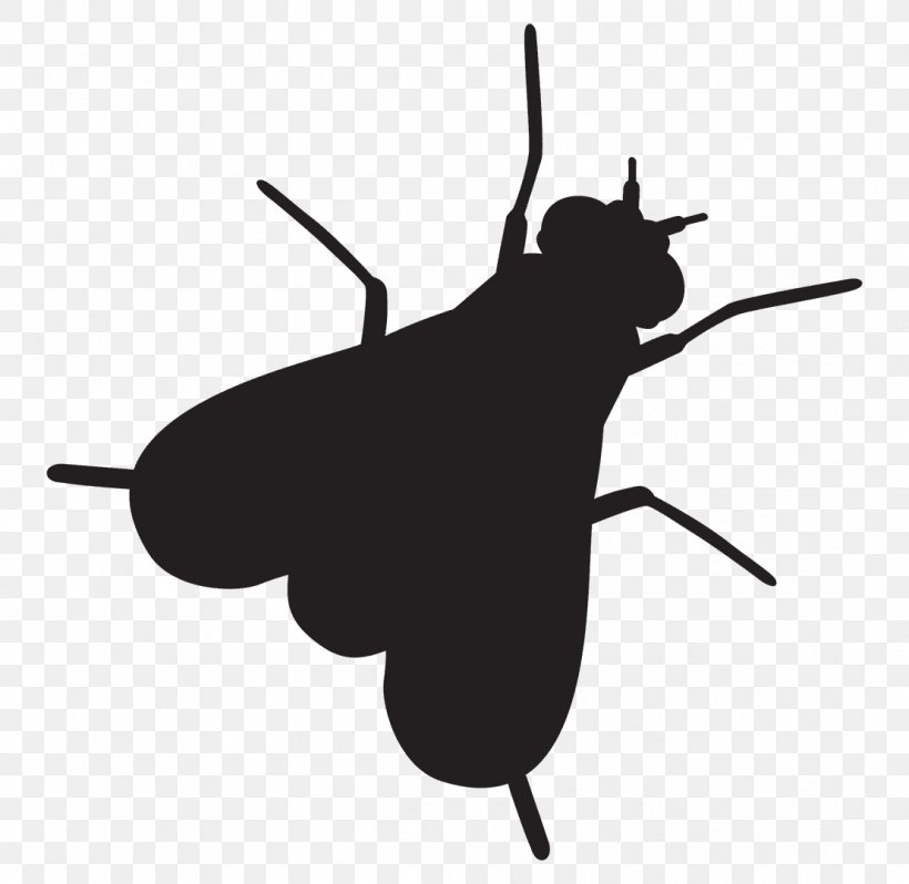 First Choice Pest Management Insect Ant Keuper Boulevard Northeast Clip Art, PNG, 1109x1080px, Insect, Ant, Black And White, Depositphotos, Fictional Character Download Free