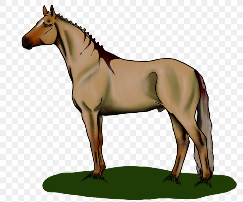 Mule Foal Mustang Mare Stallion, PNG, 1024x853px, Mule, Animal Figure, Bridle, Cartoon, Colt Download Free