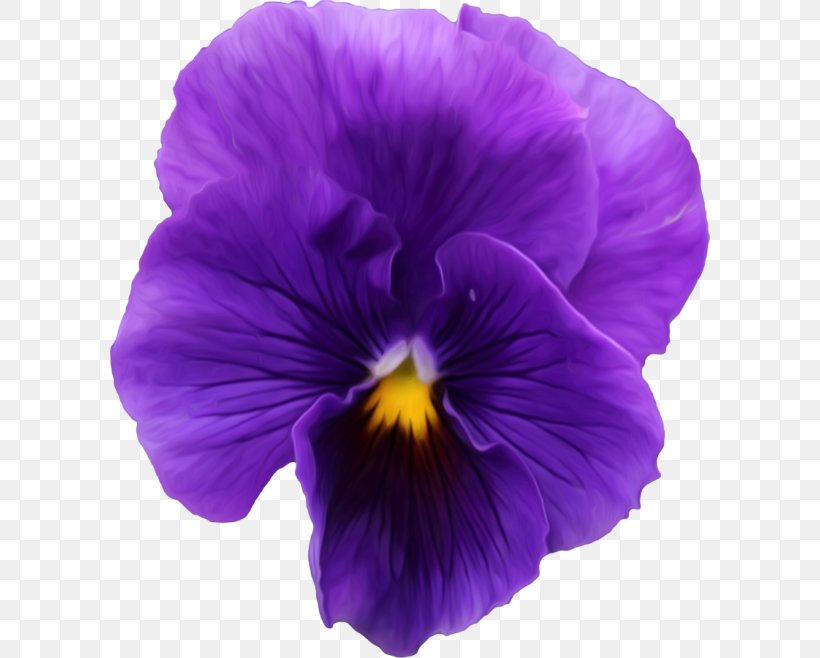Pansy Violet Clip Art, PNG, 600x658px, Pansy, Animation, Flower, Flowering Plant, Magenta Download Free