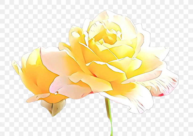 Artificial Flower, PNG, 2379x1680px, Flower, Artificial Flower, Cut Flowers, Garden Roses, Petal Download Free