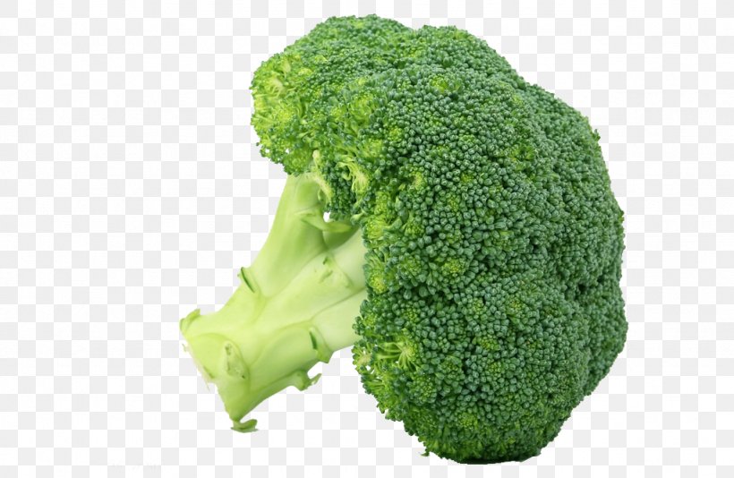 Broccoli Raw Foodism Vegetable Health, PNG, 1024x668px, Broccoli, Brassica Oleracea, Cruciferous Vegetables, Diet, Drink Download Free