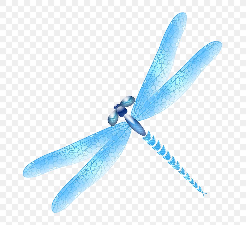 Dragonfly Insect Blue RGB Color Model, PNG, 750x750px, 2018, Dragonfly, Blue, Color, Insect Download Free