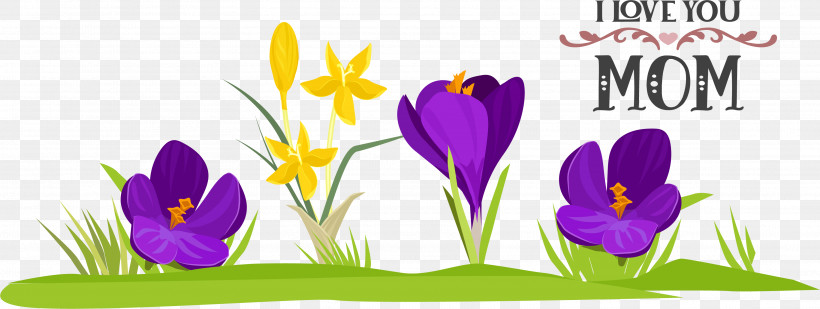 Floral Design, PNG, 3552x1341px, Perennial Plant, Crocus, Floral Design, Flower, Iris Family Download Free
