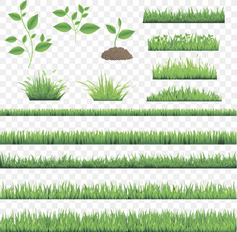Fresh Green Lawn, PNG, 1000x978px, Photography, Art, Drawing, Grass, Grass Family Download Free