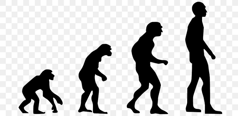 Homo Sapiens Ape Human Evolution Evolution 2.0: Breaking The Deadlock Between Darwin And Design, PNG, 770x400px, Homo Sapiens, Adaptation, Ape, Biologist, Biology Download Free