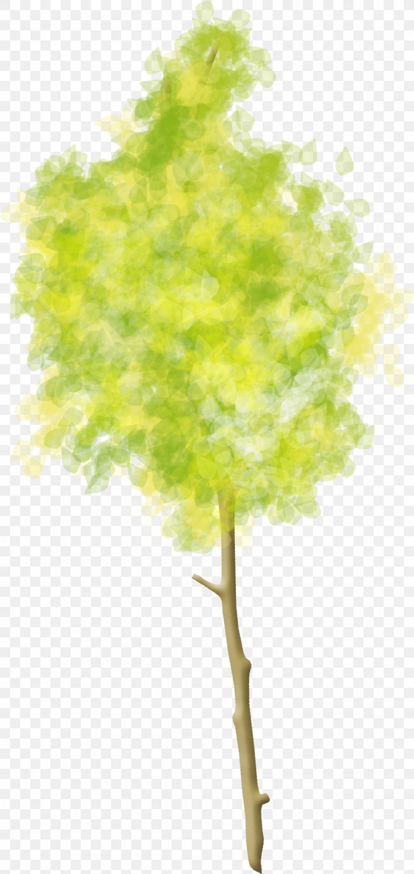 Tree Woody Plant Clip Art, PNG, 949x2000px, Tree, Branch, Leaf, Plane Tree Family, Plane Trees Download Free