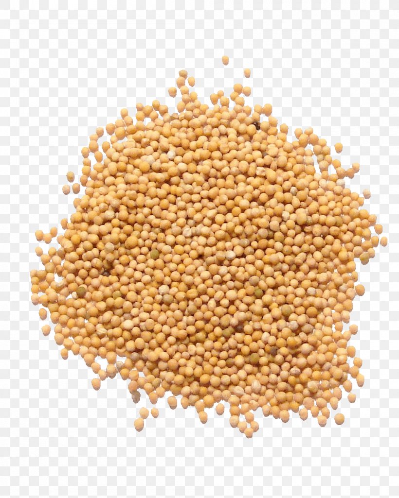 Sprouted Wheat Mustard Plant Mustard Seed White Mustard Mustard Oil, PNG, 1000x1250px, Sprouted Wheat, Bean, Brassica Juncea, Cereal, Cereal Germ Download Free