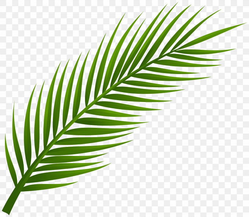 Arecaceae Leaf Palm Branch Clip Art, PNG, 8000x6983px, Arecaceae, Arecales, Clover, Date Palm, Grass Download Free